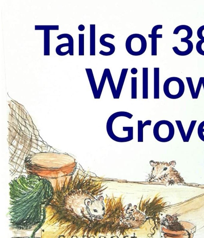 DAVID HUGHES - TAILS OF 38 WILLOW GROVE (2020)