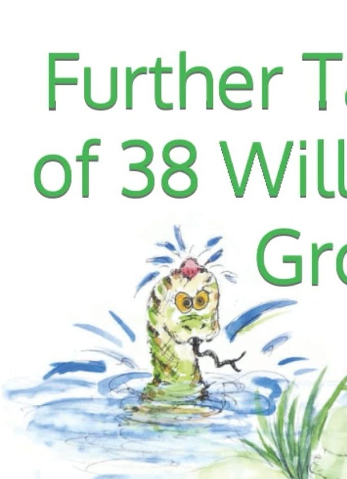 DAVID HUGHES - FURTHER TAILS OF 38 WILLOW GROVE (2021)